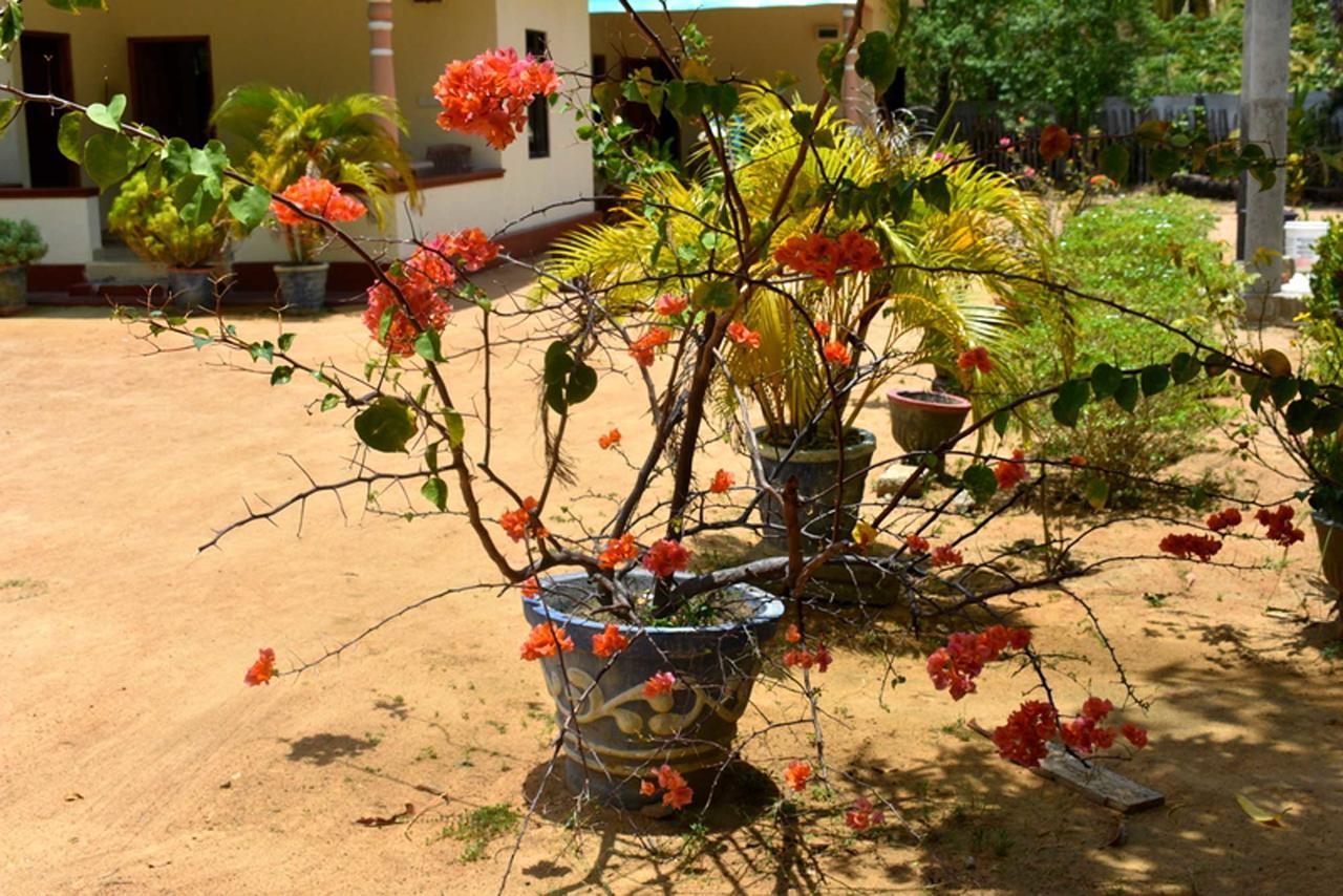 Yaswi Guest House Passikudah Extérieur photo